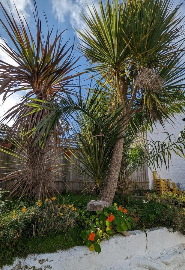 Britannia House Vintage B&B Cornwall เฮลสตัน ภายนอก รูปภาพ